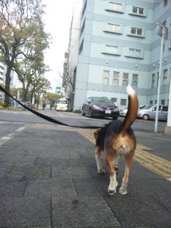 e0119327_11101099.jpg