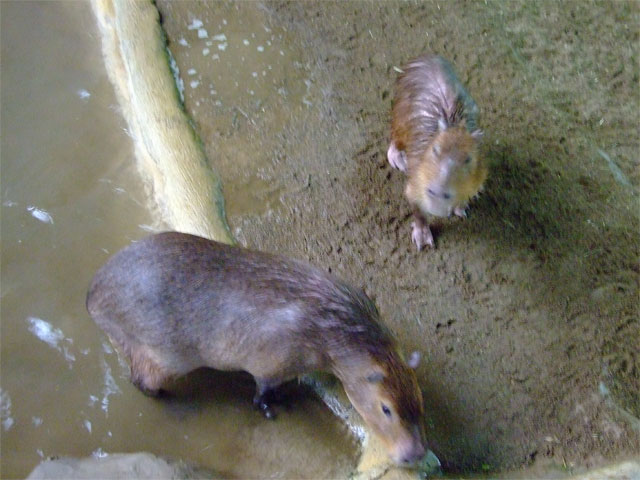 a0179837_15571.jpg
