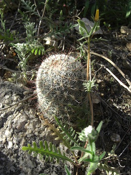 c0248040_9644.jpg