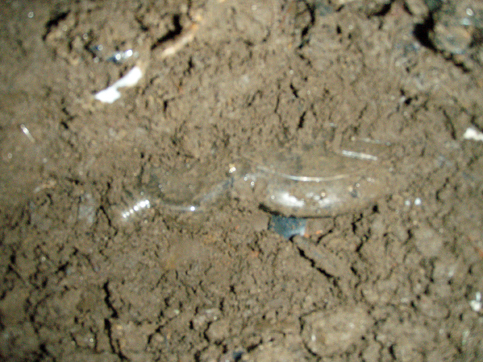 d0110641_23393526.jpg