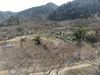 a0124543_12344413.jpg