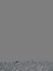 e0005548_22431340.gif