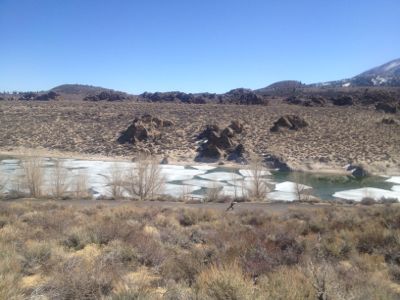 BISHOP12_a0255552_1721172.jpg
