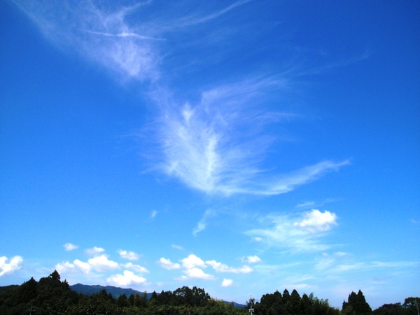 a0174458_8452343.jpg