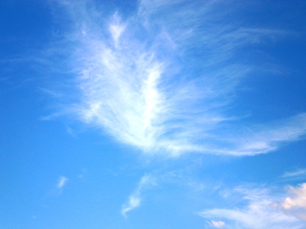 a0174458_8474613.jpg
