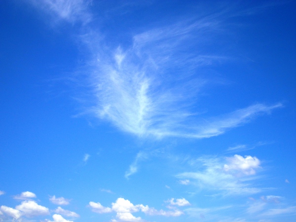 a0174458_903789.jpg