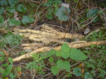 c0108460_12032.jpg