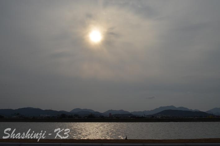 遠賀川 つくし狩りの時に 週末写真