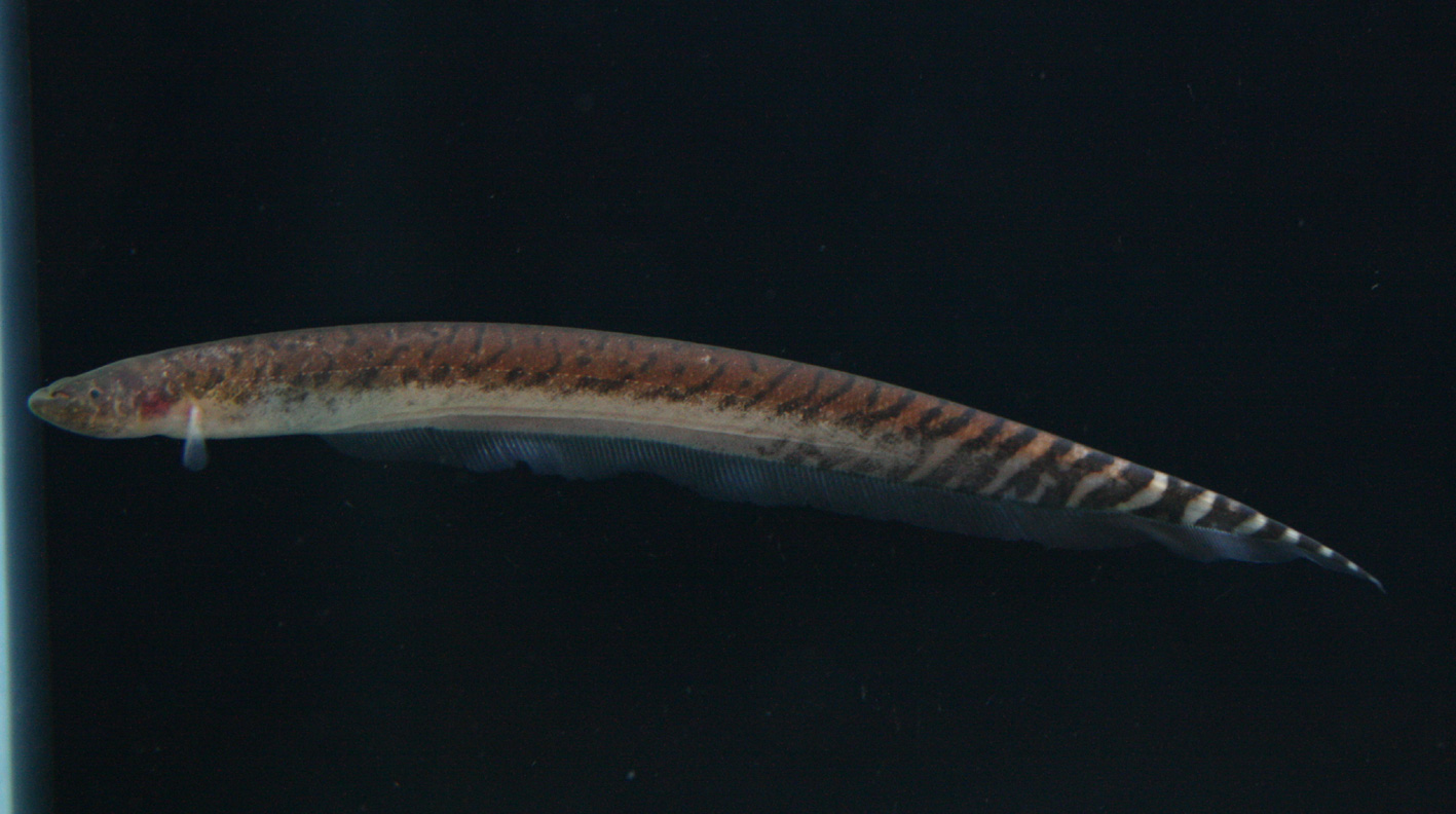 a0162263_2034568.jpg