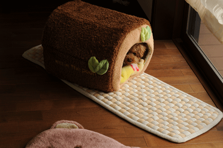 c0196673_16162463.gif