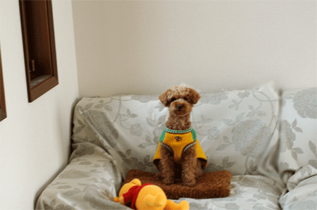 c0196673_16171268.gif
