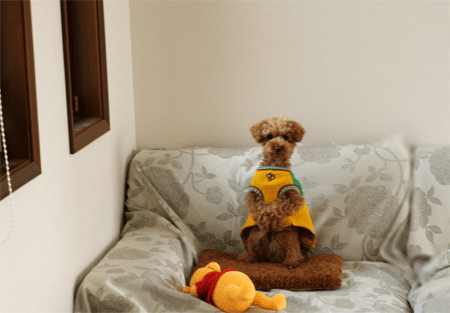 c0196673_1617712.gif