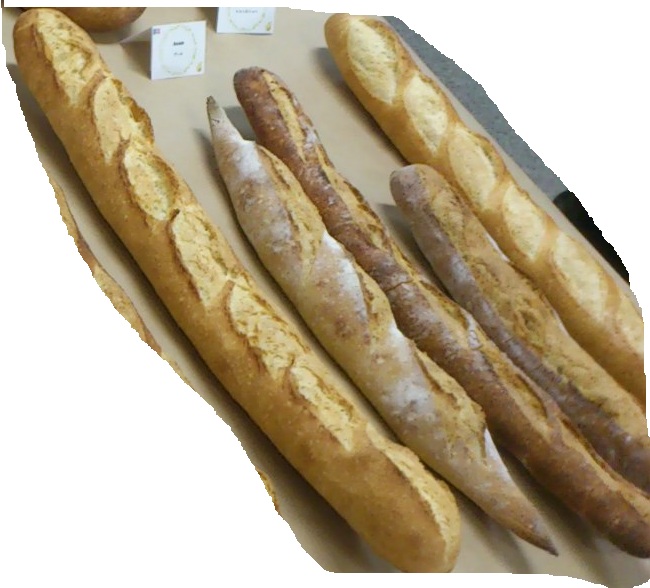 フランスパン講座 ポムポム 風にのって