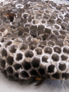 c0208974_2091788.jpg