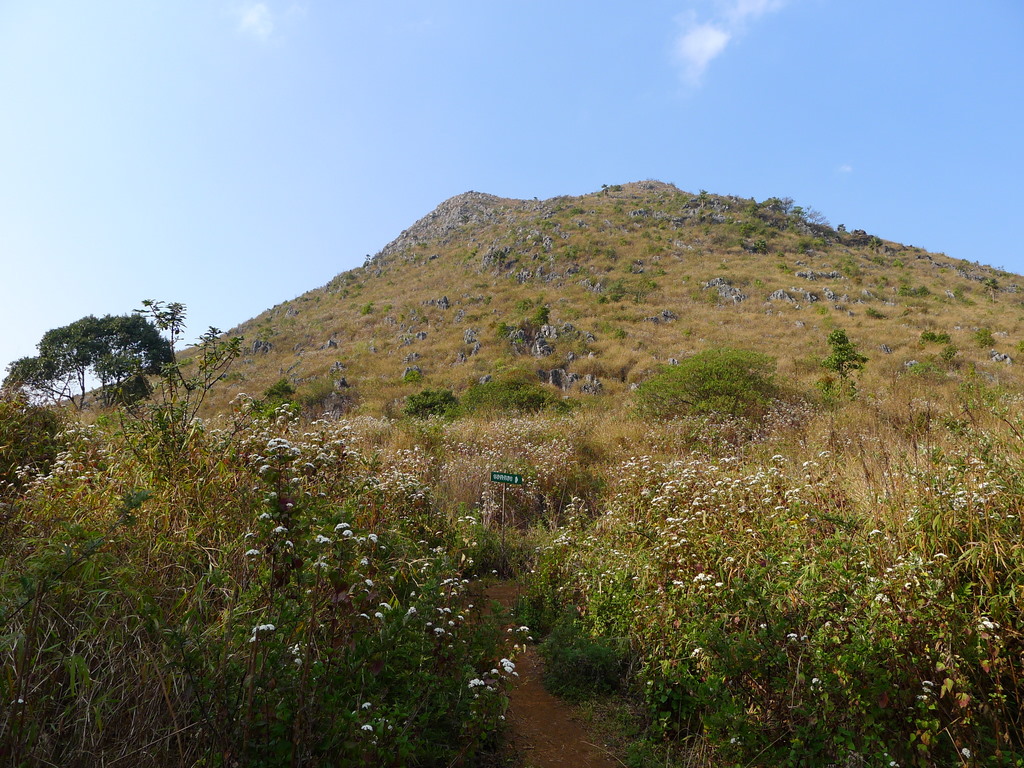 f0178278_7321657.jpg