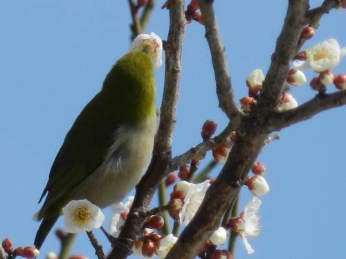 f0216489_2153989.jpg