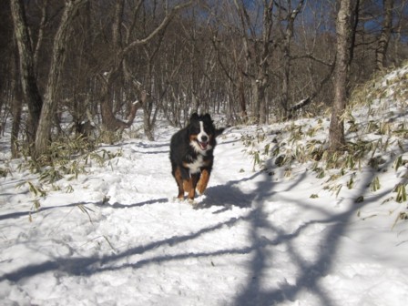 雪遊び in 清里～♪2012年　Ⅱ_c0123692_2182798.jpg