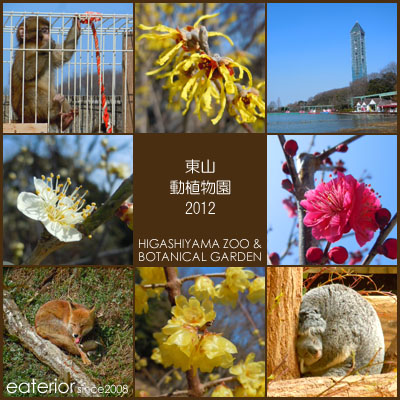 『春を探しに･･･。』 東山動植物園vol.52_b0142197_92635.jpg