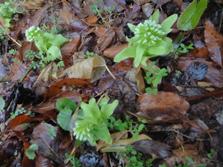 e0143298_215101.jpg