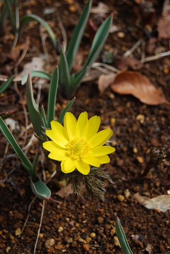 c0124100_23252272.jpg