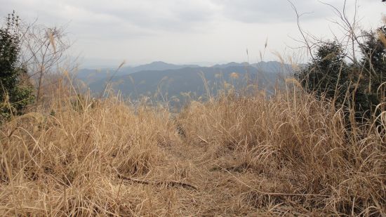 f0036700_17214342.jpg