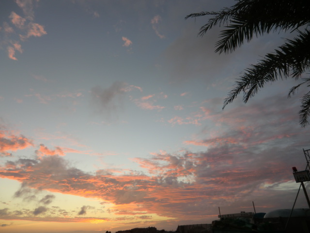 a0099804_17332130.jpg