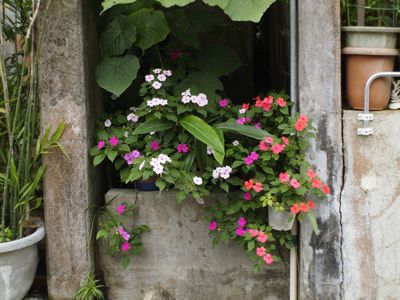 首里当蔵町_d0147406_20383680.jpg