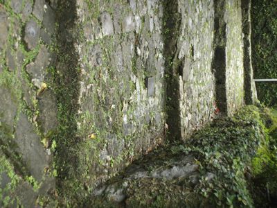 首里当蔵町_d0147406_20383978.jpg