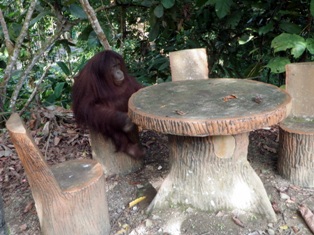 c0247308_8284190.jpg