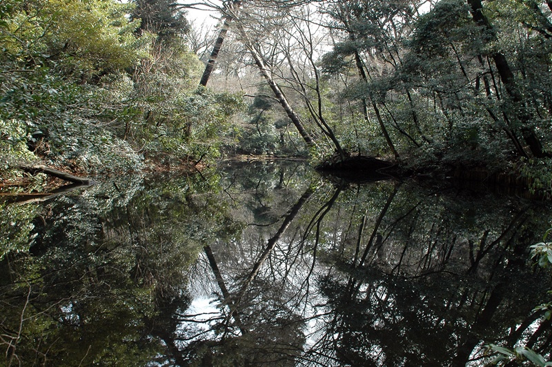 f0012718_2324385.jpg