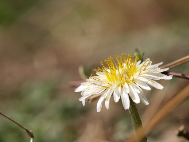 b0187620_22513762.jpg