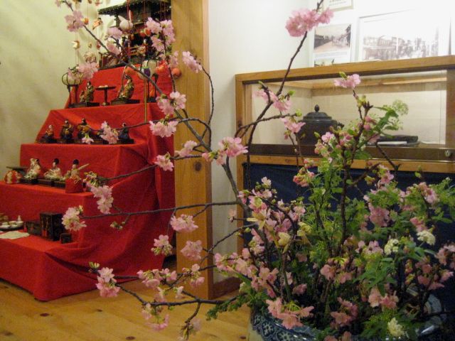 頂いた 沼川桜が見ごろになりました!!_b0093221_19195489.jpg