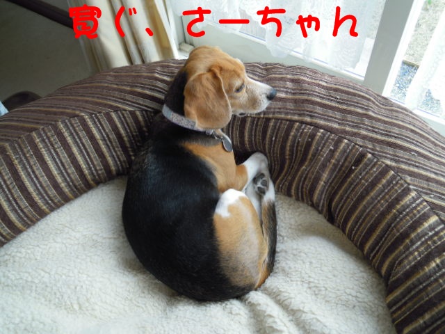 c0166622_16433844.jpg