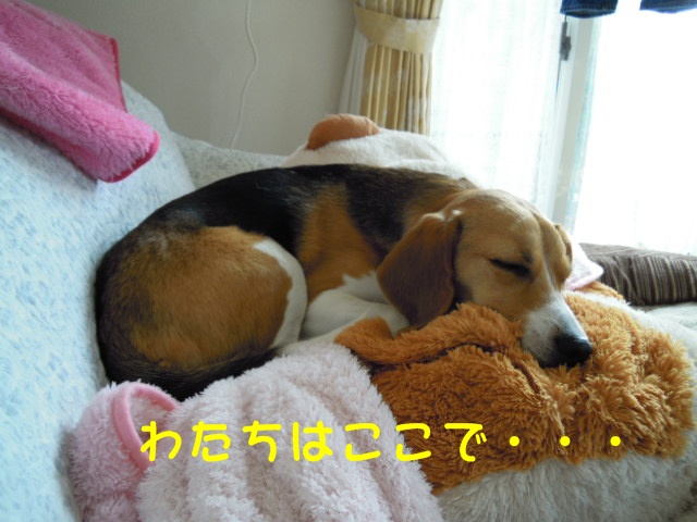 c0166622_17224218.jpg