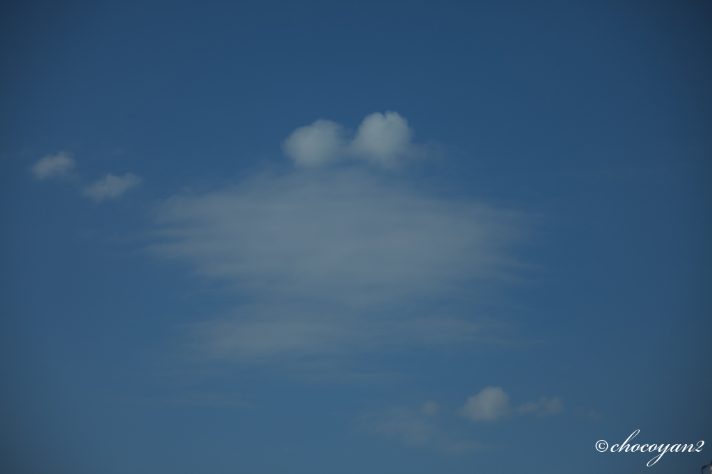 d0161322_2324440.jpg
