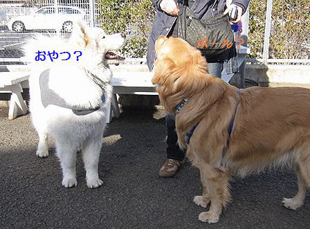 f0213924_23511927.gif