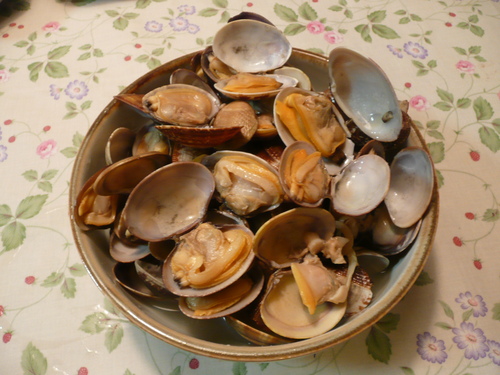 c0009528_2252510.jpg