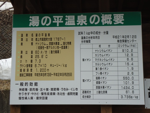 a0055650_16583866.jpg