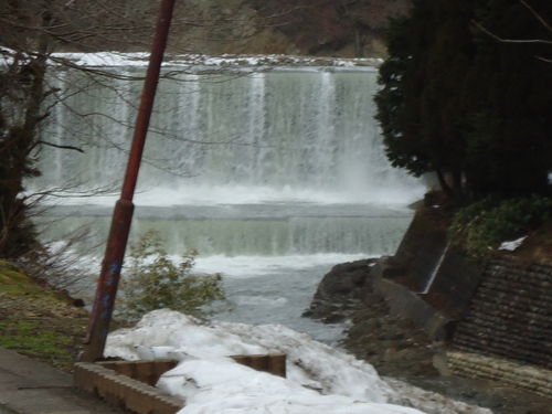 a0055650_172207.jpg