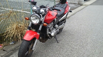かりに・・・??_e0114857_8145972.jpg