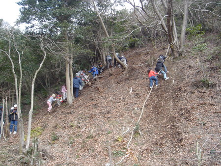 石ジュニアー自然大学（１期生）お別れ遠足　in　孝子の森_c0108460_28991.jpg