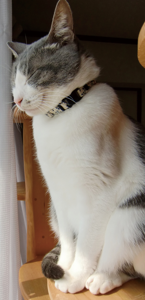 春です。_d0165160_16213763.jpg