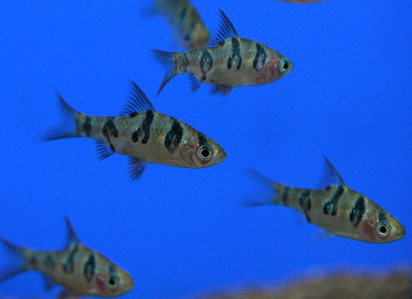 a0162263_20145276.jpg