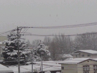 d0133863_0453733.jpg