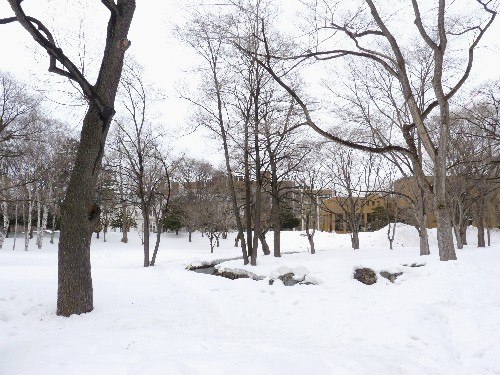 d0084473_20191493.jpg