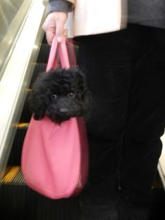 2012年3月7日 ふらふら~ _b0098584_18292880.jpg