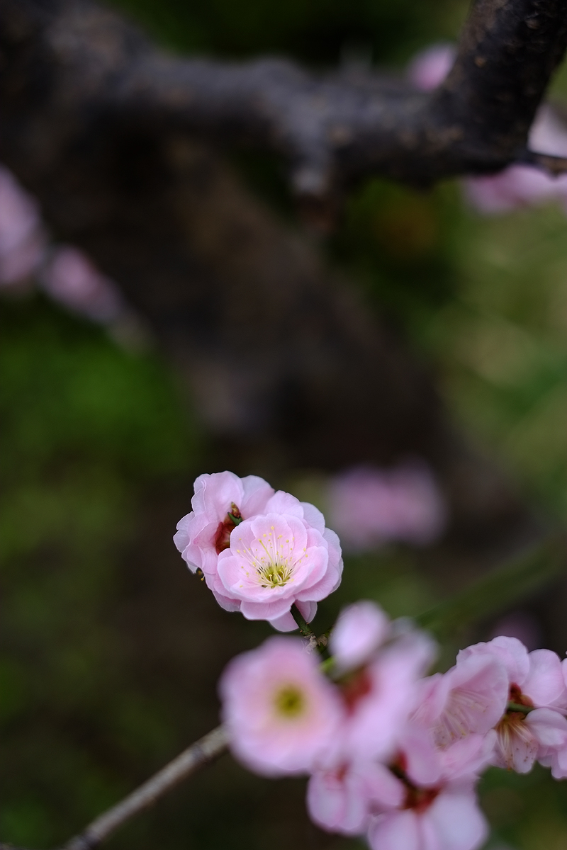 a0141586_14211333.jpg