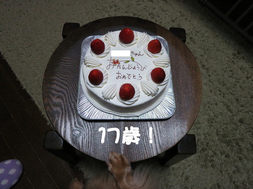 Happy Birthday Seventeen Angel_b0200291_1944795.jpg