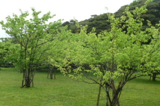 f0166694_19305470.jpg