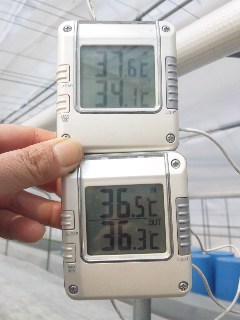 二つの温度計_d0099708_15523798.jpg